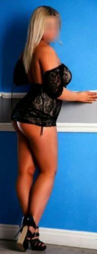 Şişli Escort Petek